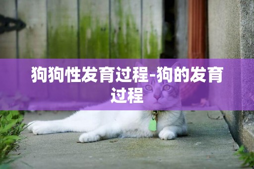 狗狗性發育過程-狗的發育過程
