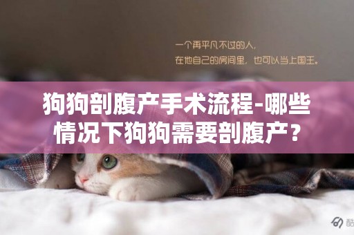 狗狗剖腹產手術流程-哪些情況下狗狗需要剖腹產？