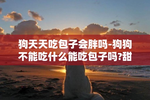 狗天天吃包子會胖嗎-狗狗不能吃什么能吃包子嗎?甜的
