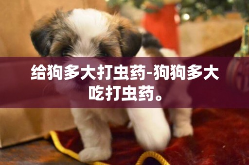 給狗多大打蟲藥-狗狗多大吃打蟲藥。