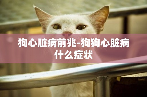 狗心臟病前兆-狗狗心臟病什么癥狀