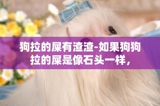 狗拉的屎有渣渣-如果狗狗拉的屎是像石頭一樣，