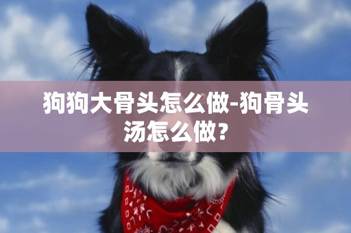 狗狗大骨頭怎么做-狗骨頭湯怎么做？