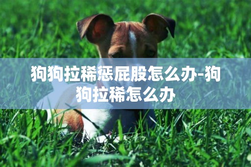 狗狗拉稀懲屁股怎么辦-狗狗拉稀怎么辦