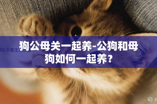 狗公母關一起養-公狗和母狗如何一起養？