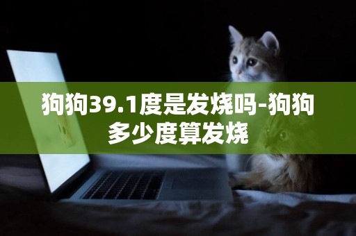 狗狗39.1度是發燒嗎-狗狗多少度算發燒