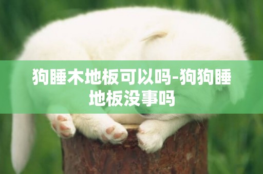狗睡木地板可以嗎-狗狗睡地板沒事嗎