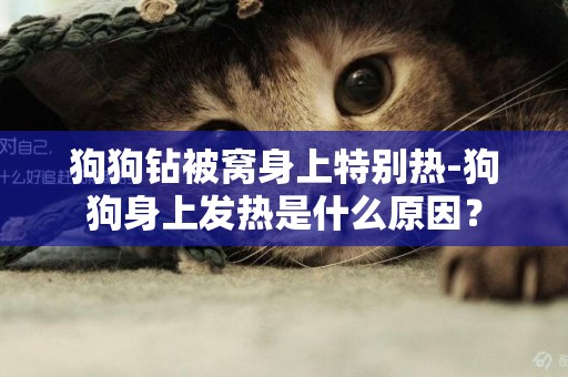 狗狗鉆被窩身上特別熱-狗狗身上發熱是什么原因？