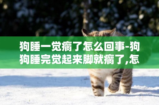 狗睡一覺瘸了怎么回事-狗狗睡完覺起來腳就瘸了,怎麼回事