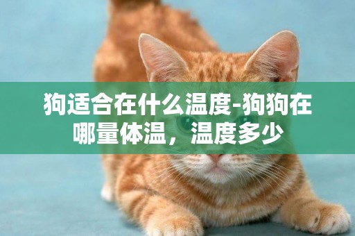 狗適合在什么溫度-狗狗在哪量體溫，溫度多少