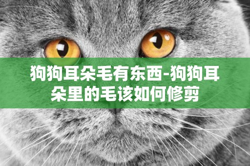 狗狗耳朵毛有東西-狗狗耳朵里的毛該如何修剪