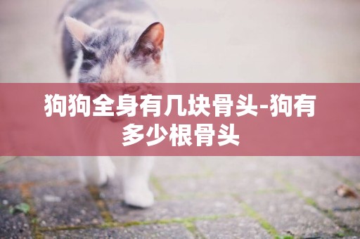 狗狗全身有幾塊骨頭-狗有多少根骨頭
