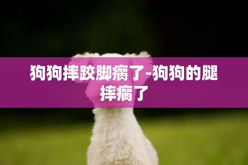 狗狗摔跤腳瘸了-狗狗的腿摔瘸了