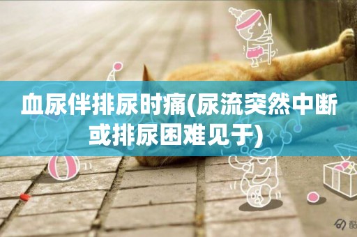 血尿伴排尿時痛(尿流突然中斷或排尿困難見于) 