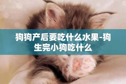 狗狗產后要吃什么水果-狗生完小狗吃什么