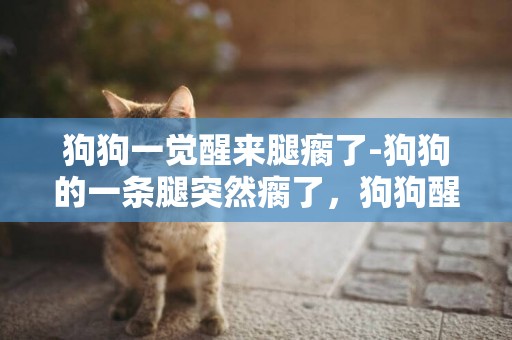 狗狗一覺醒來腿瘸了-狗狗的一條腿突然瘸了，狗狗醒來一條腿瘸了