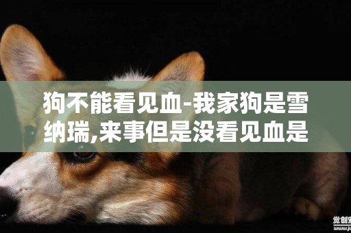 狗不能看見血-我家狗是雪納瑞,來事但是沒看見血是怎么回事呢
