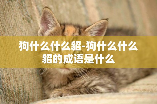 狗什么什么貂-狗什么什么貂的成語是什么