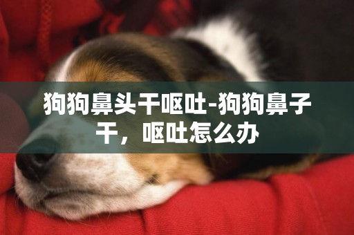狗狗鼻頭干嘔吐-狗狗鼻子干，嘔吐怎么辦