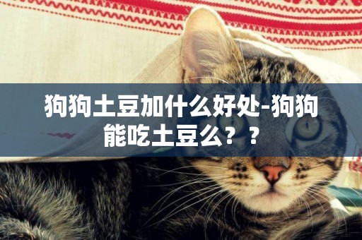 狗狗土豆加什么好處-狗狗能吃土豆么？？