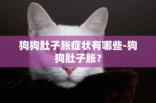 狗狗肚子脹癥狀有哪些-狗狗肚子脹？