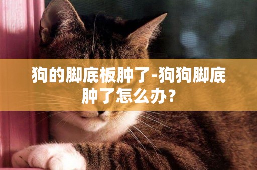 狗的腳底板腫了-狗狗腳底腫了怎么辦？
