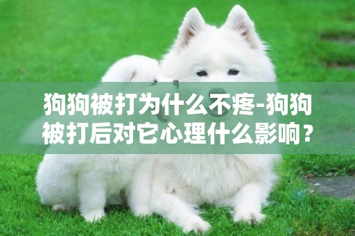 狗狗被打為什么不疼-狗狗被打后對它心理什么影響？