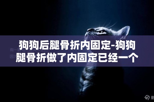狗狗后腿骨折內固定-狗狗腿骨折做了內固定已經一個月了,為什么狗狗走路還是一瘸一