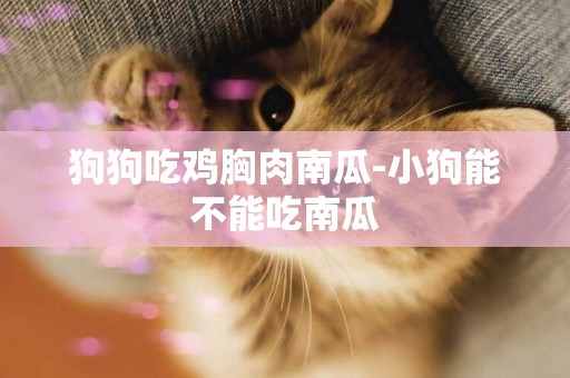 狗狗吃雞胸肉南瓜-小狗能不能吃南瓜