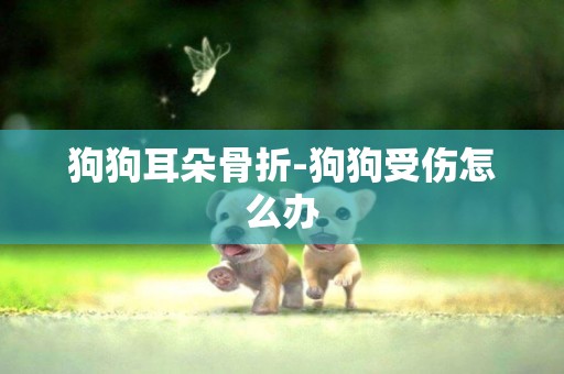 狗狗耳朵骨折-狗狗受傷怎么辦