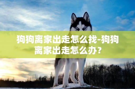 狗狗離家出走怎么找-狗狗離家出走怎么辦？