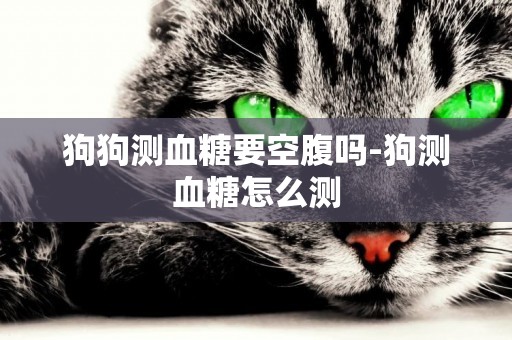 狗狗測血糖要空腹嗎-狗測血糖怎么測