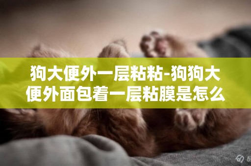 狗大便外一層粘粘-狗狗大便外面包著一層粘膜是怎么回事