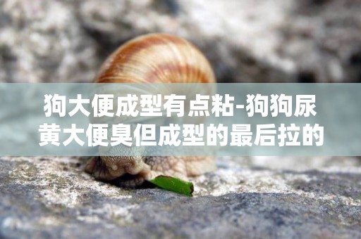 狗大便成型有點粘-狗狗尿黃大便臭但成型的最后拉的有一點粘怎么回事
