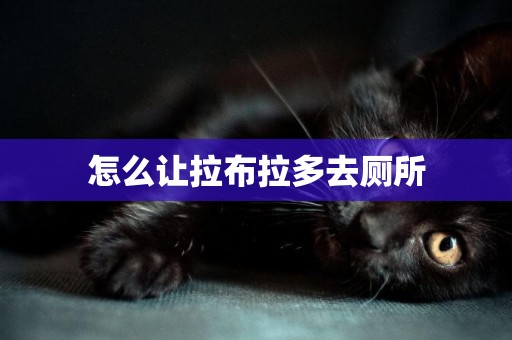 怎么讓拉布拉多去廁所