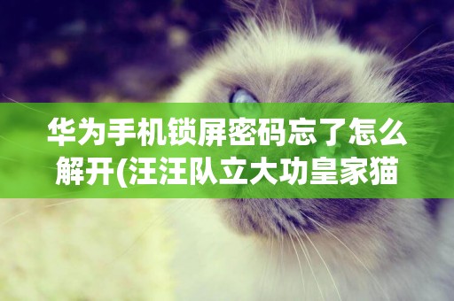 華為手機鎖屏密碼忘了怎么解開(汪汪隊立大功皇家貓咪) 