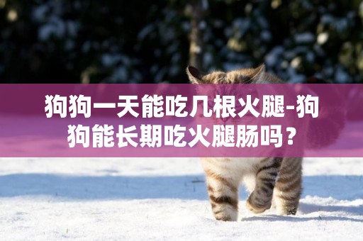 狗狗一天能吃幾根火腿-狗狗能長期吃火腿腸嗎？