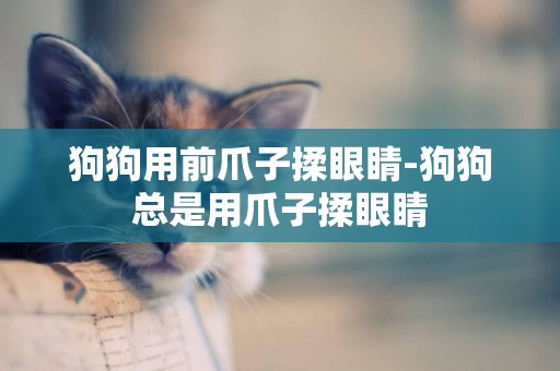 狗狗用前爪子揉眼睛-狗狗總是用爪子揉眼睛