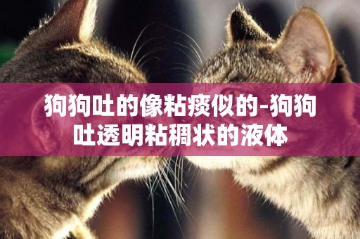 狗狗吐的像粘痰似的-狗狗吐透明粘稠狀的液體