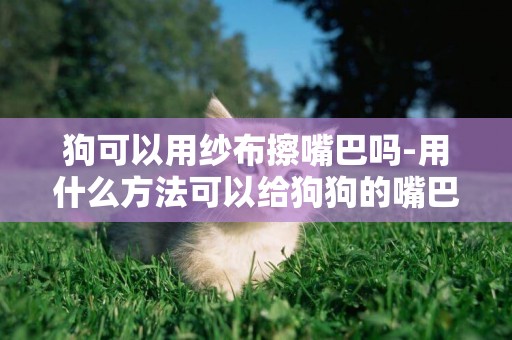 狗可以用紗布擦嘴巴嗎-用什么方法可以給狗狗的嘴巴消毒呢？