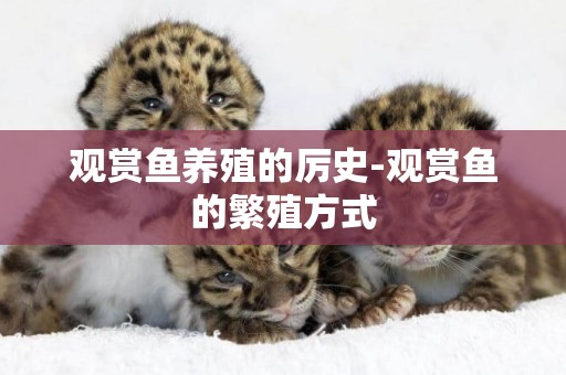 觀賞魚養殖的厲史-觀賞魚的繁殖方式