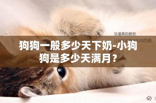 狗狗一般多少天下奶-小狗狗是多少天滿月？