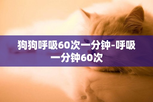 狗狗呼吸60次一分鐘-呼吸一分鐘60次