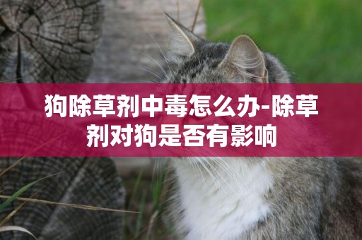 狗除草劑中毒怎么辦-除草劑對狗是否有影響