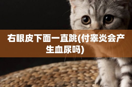 右眼皮下面一直跳(付睪炎會產生血尿嗎) 