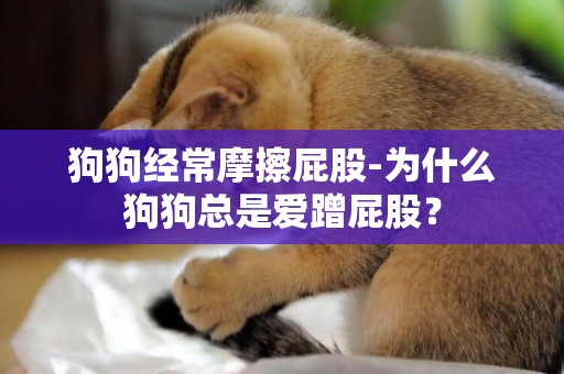 狗狗經常摩擦屁股-為什么狗狗總是愛蹭屁股？