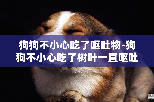 狗狗不小心吃了嘔吐物-狗狗不小心吃了樹葉一直嘔吐怎么辦