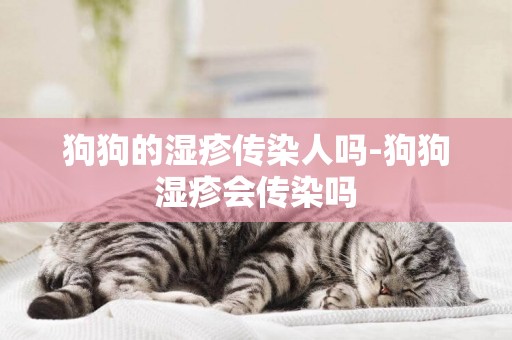 狗狗的濕疹傳染人嗎-狗狗濕疹會傳染嗎