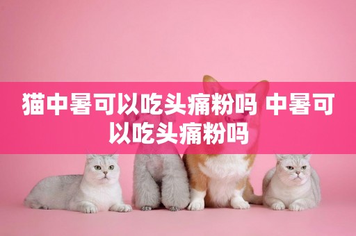 貓中暑可以吃頭痛粉嗎 中暑可以吃頭痛粉嗎