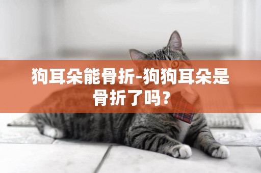 狗耳朵能骨折-狗狗耳朵是骨折了嗎？